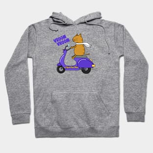 Orange cat on a scooter Hoodie